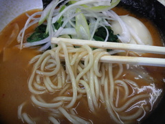 �����ܲȡ���