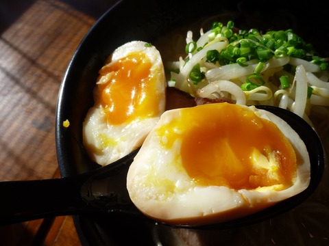 ����Ʋ��̣��