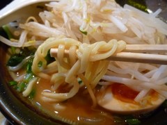 ��Ȭ��Ĺ¿������