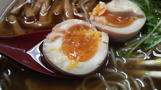 ��̣�դ��Ѷ̻�