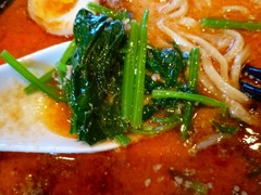 天竜 ほうれん草