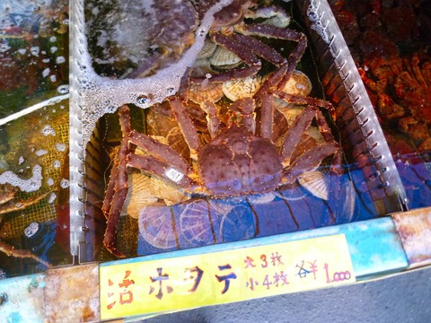 �Ǥä�����