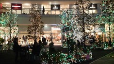 �饾���ʥ���ߣ�