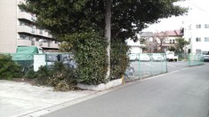 ���㲰��־쳰��