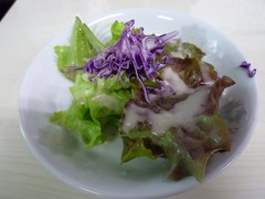 �����顼��󲰡��ץ������