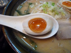 Ʋ������̣��