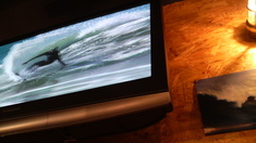 �Ĥ�ƻ�顼���Ź�⣳