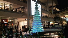 �饾���ʥ���ߣ�