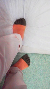 2f560236.jpg