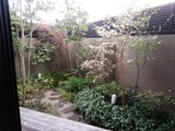 7c020733.jpg