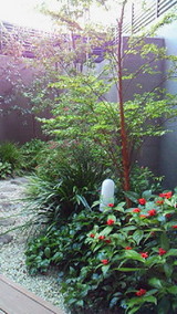 a66056bf.jpg