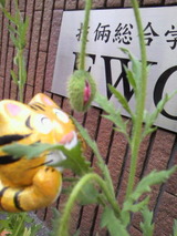 bb045627.jpg