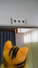 c9877820.jpg