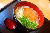 d06115c1.jpg