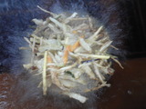 f1b5448f.jpg