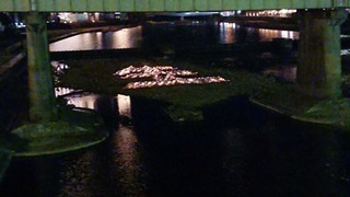 IMG_20210116_182836
