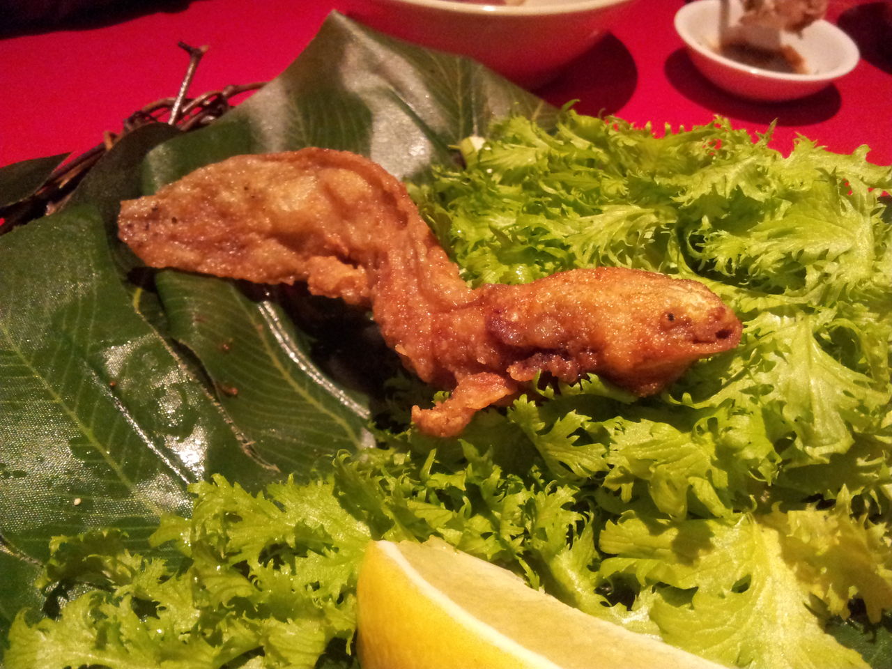 マンボウ ウーパールーパー 珍食材でも味は確かな 珍獣屋 T Yanのブログ マンボウ ウーパールーパー 珍食材でも味は確かな 珍獣屋 T Yanのブログ