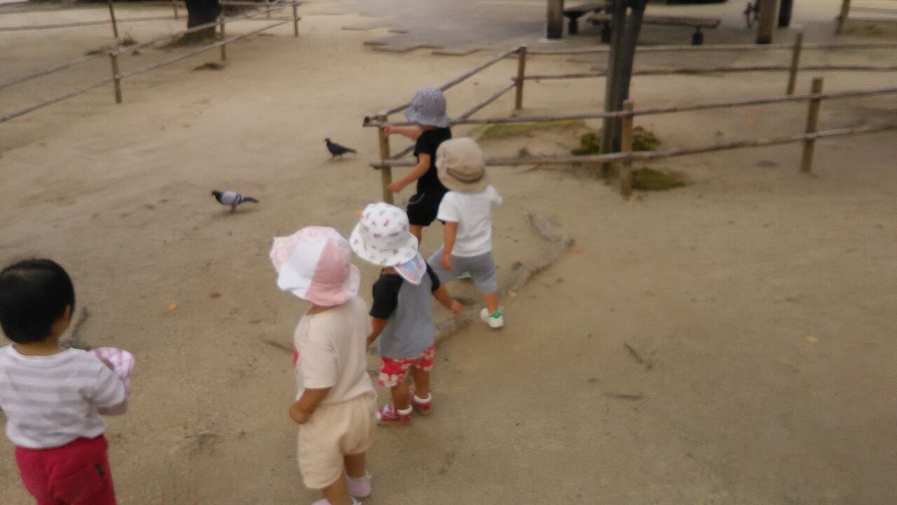 楽しいお散歩 みかんぐみ 立花ひよこ保育園
