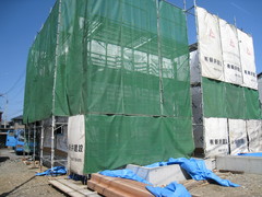 080315定点