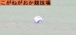 縺薙′縺ｭ_convert_20110922210110