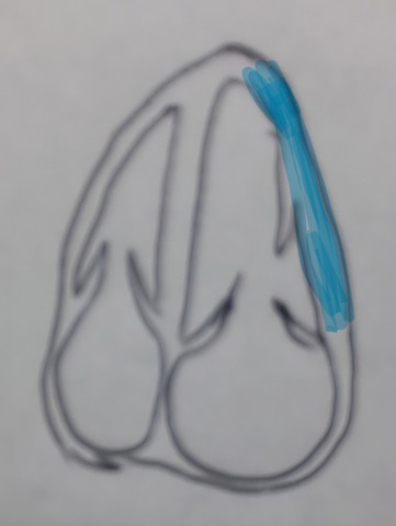 20240704_142739