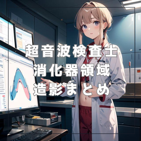 腹部エコー初心者 チェックリスト_20240524_173808_0000