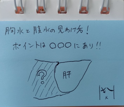 胸水と胸水の見分け方 ポイントは 1記事3分 超音波検査士けんしんのエコーノート