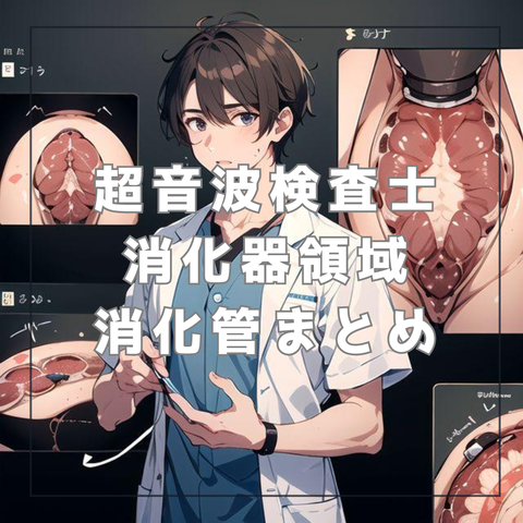 腹部エコー初心者 チェックリスト_20240524_173418_0000
