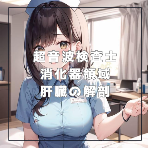 腹部エコー初心者 チェックリスト_20240516_133308_0000