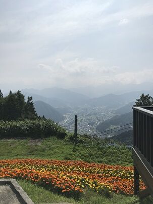 IMG_3338
