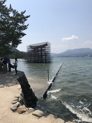 IMG_3820