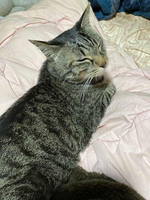 5B621E60-7CE0-4E0E-90FB-B83876B5C0A3