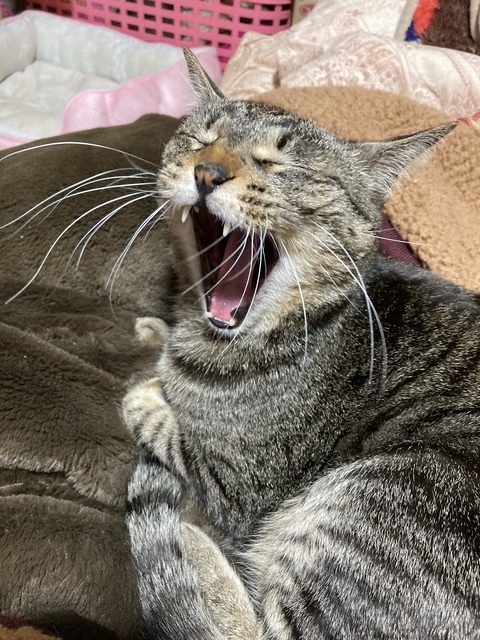 8521D294-E0D4-4D48-A9C8-14E012362390