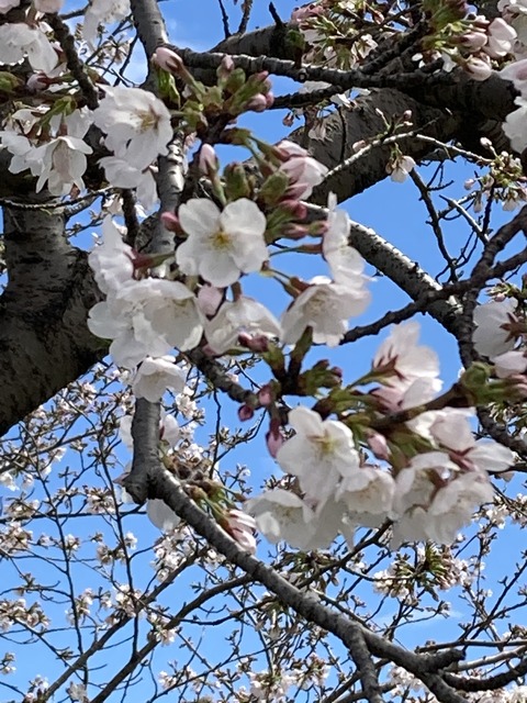 DD5CC69D-1E54-452A-9C39-38E47003622D