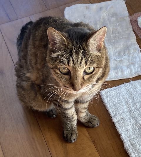 ACE8B350-EC13-47F6-A955-044AE01A5121