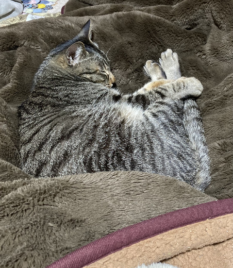 AB9E78BC-CCD1-4A2D-B6FD-89EAA6446332