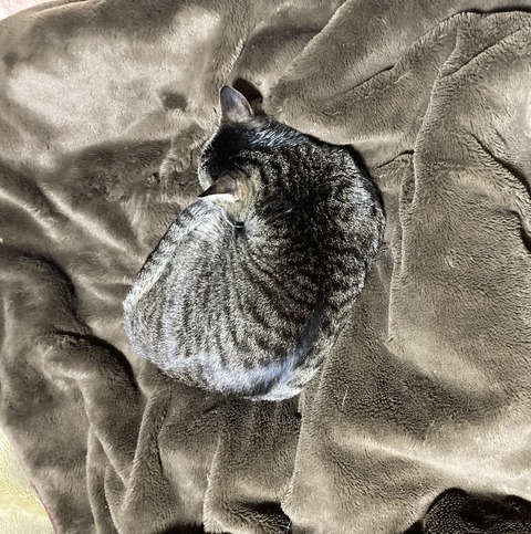 069D707D-3982-4102-8C08-ECA0560B81A9