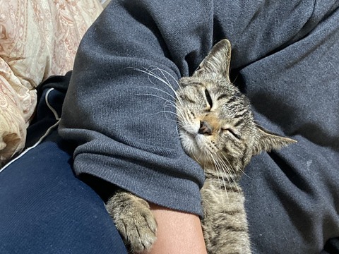 5D46F802-A441-4AA5-A284-7CA9180FD1E3