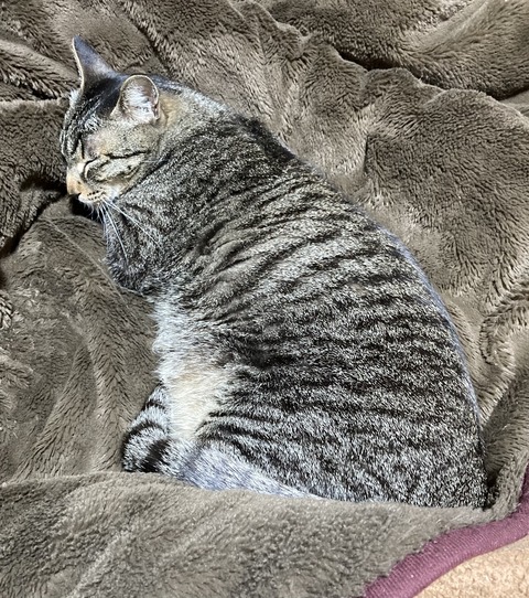 7CC09356-D9FC-4443-AAD4-C9B1043A8BAE