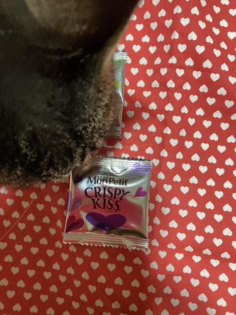 7497845F-706E-4616-9399-16EBB79ED55A