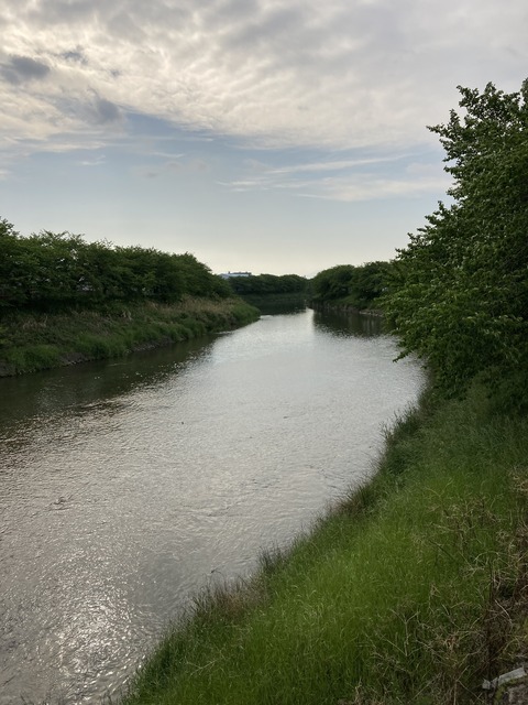 85764235-283B-4C51-9D3B-F2A17F7E7288