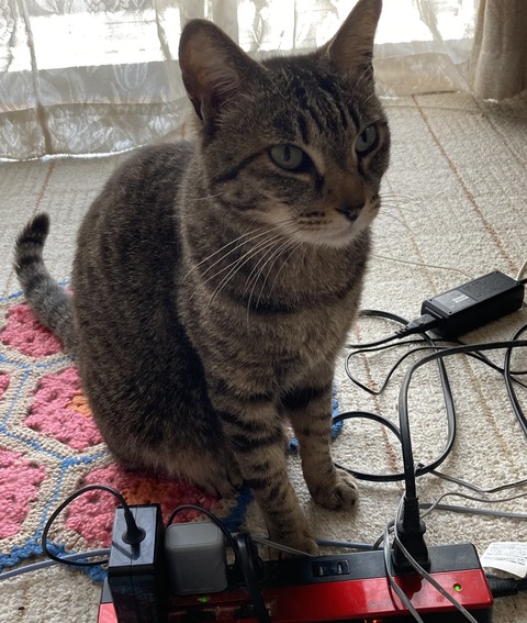 0400C85E-CF66-4759-99F5-28B4508273A9