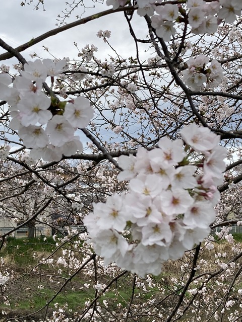 DDC2511E-F0F0-42C9-B1CF-FC35809F4FE3