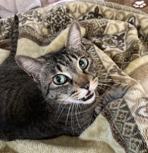 0AC31A4C-EB43-459B-A1E9-26C61DC68A9D