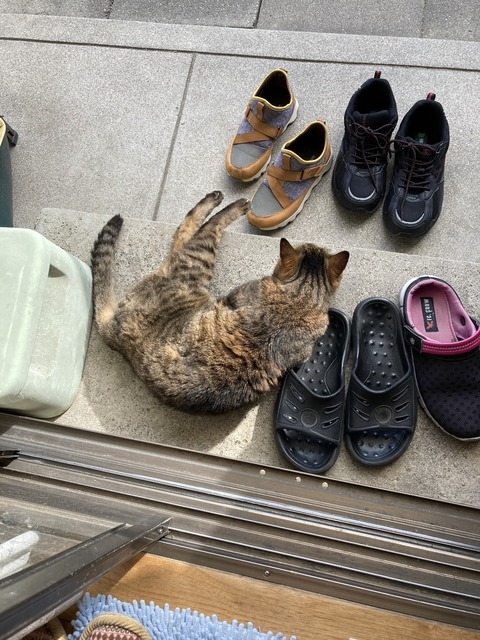 AAACCDCE-E554-43F6-B0E5-0B7F02B55391