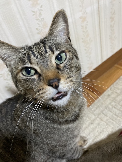 AFABE20F-2AEB-486E-898E-84D99C535F89