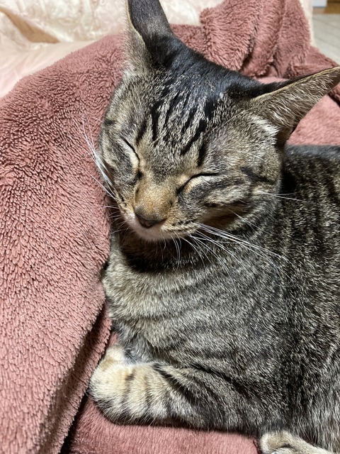 85B89252-BBF7-4684-B466-E82D7A4CAACA