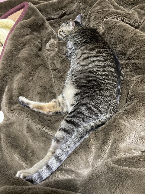 6C29DEA8-6C17-44E8-84C2-FA622DFA58A7