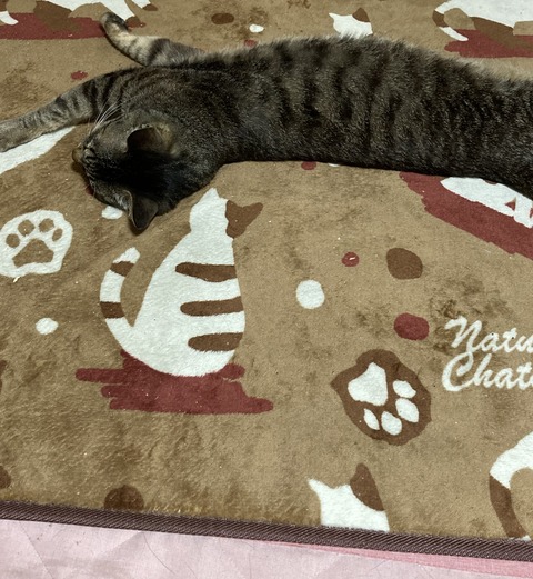 775D60B9-8F69-4A8D-B9AB-B2401E7B6E8A