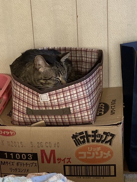 658957C7-23C5-4298-9C9B-798C9A0F76F7